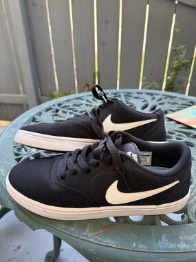 Nike SB Canvas Low Profile